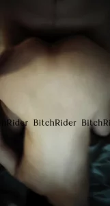 纽约 研讨会间隙自觉把肉臀翘高给主人发泄的丧智精盆