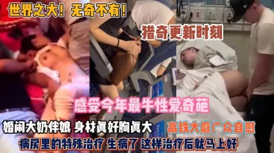 无翼乌之高铁列车